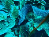 2015-03-25 16-12-44